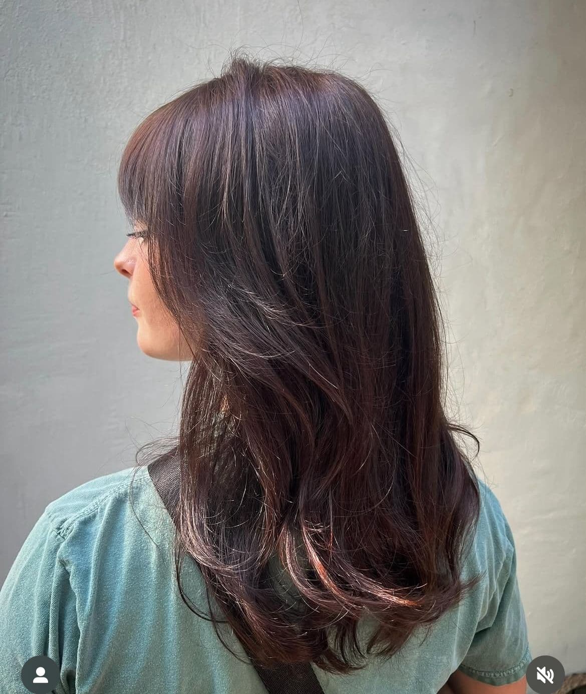 Highlights, Elevated